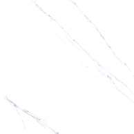 Arctic White
